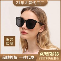 女性用の新しいスタイルの偏光日焼け止めサングラス、ハイエンド TR 品質の OEM 抗 UV 非GM サングラス